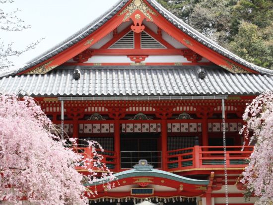 貸切観光タクシー 県内有数のパワースポットを巡る！那谷寺や安宅住吉神社など 金運・縁結びにご利益のあるスポットへご案内＜4.5時間／1～4名／金沢発着＞