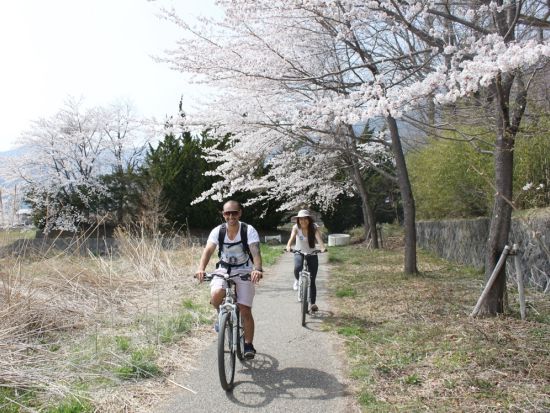 マウンテンバイク（MTB）体験　富士山の麓を駆け抜ける＜午前・午後／富士河口湖町＞
