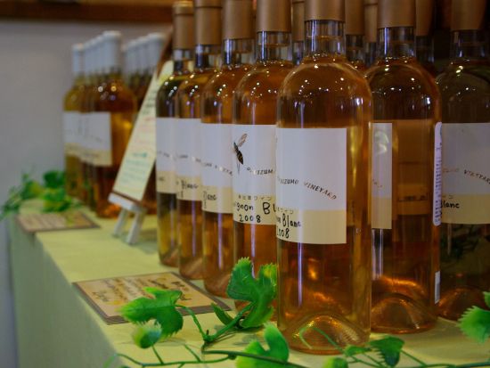 日本初の御宮を観光！貸切観光タクシー ワイナリー奥出雲葡萄園＋須我神社観光ツアー＜4時間／1-9名／松江市内発着＞4名参加で1名7,900円～by松江一畑交通