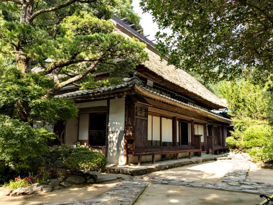 貸切徳島日帰りツアー　大歩危・祖谷エリアを巡る！　大歩危＆小歩危＋かずら橋＋平家屋敷＋小便小僧＜選べる出発時間／高知市発＞