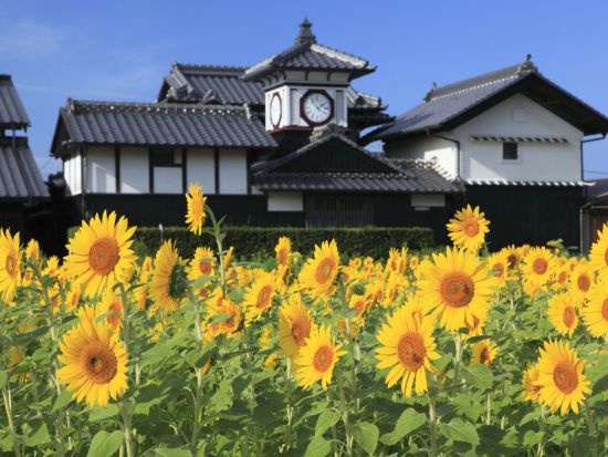 貸切2都市周遊ツアー　安芸・香美の2エリアを巡る！　岩崎彌太郎生家＋野良時計＋絵金蔵 ＋ヤ・シィパーク　道の駅やすでお土産＜6時間／選べる出発時間／高知市発＞