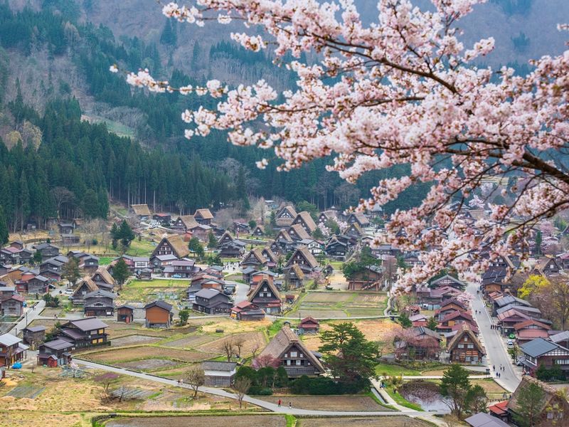 Japan_Gifu_Shirakawago_Spring_shutterstock_451506487