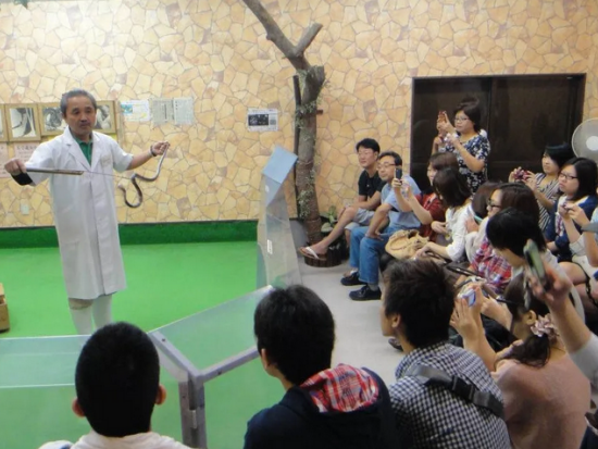 愉快なハブのショータイム「ハブと愛まショー」1日3回開催　ハブ使いが笑い・驚き・奄美の伝統をお届け＜笠利町＞ by 原ハブ屋奄美