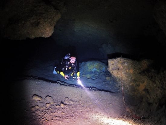 ナイトファンダイビング　到着日でも参加可能！夜行性の生物を探しに行こう＜ビーチ／1ダイブ／送迎あり／宮古島・来間島他＞