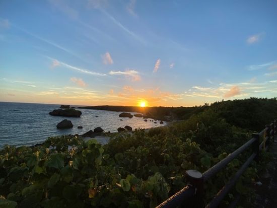 ナイトファンダイビング　到着日でも参加可能！夜行性の生物を探しに行こう＜ビーチ／1ダイブ／送迎あり／宮古島・来間島他＞