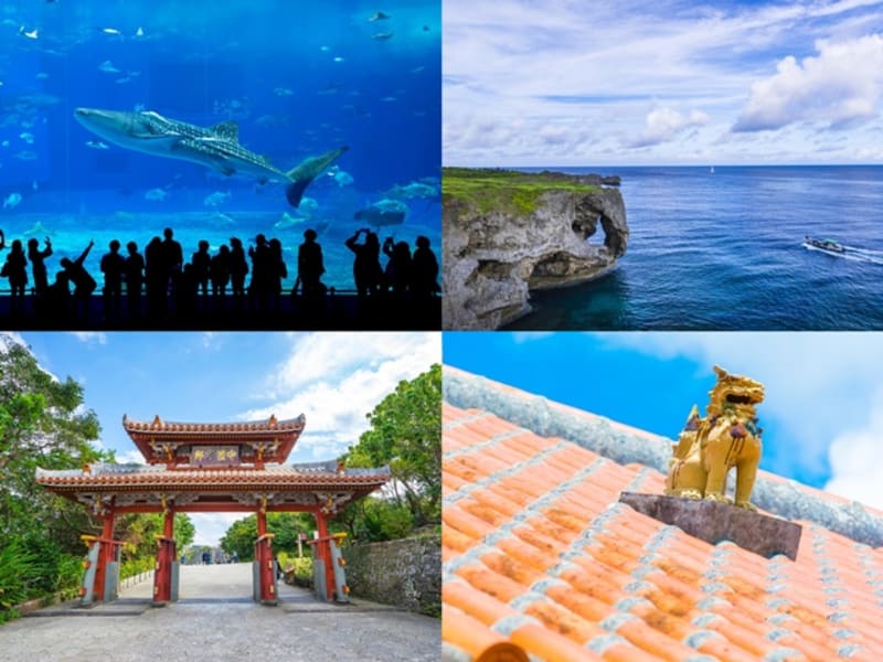 島 観光 石垣 石垣島観光でしたい9つのこと、44の体験【2020年最新版】