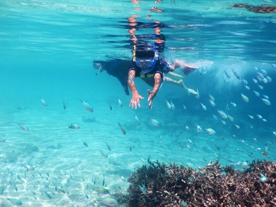 サンゴにまつわる海の旅コース サンゴ礁の不思議を知る！学びと感動のシュノーケリングツアー ＜小学生～OK／送迎付き／石垣島＞