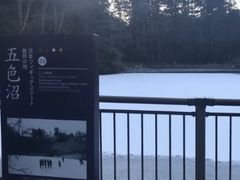 五色沼(氷)