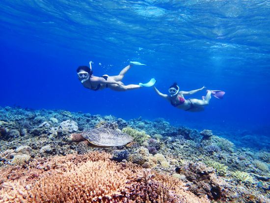 【慶良間シーカヤック＋シュノーケリング】座間味島発　ケラマブルーをカヤックで堪能！＜半日または1日／写真無料／シャワー完備／座間味島内送迎可＞by ドリフター