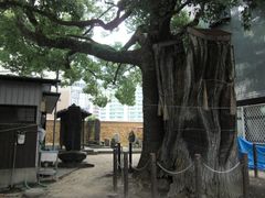 謝国明墓(1)