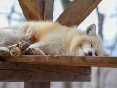 pixta_40932134_M