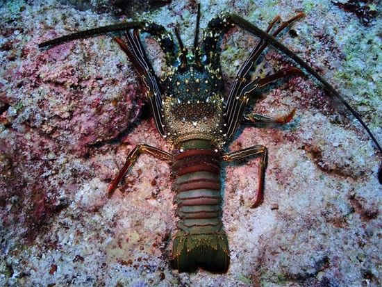 E16AD57097D14312855BB7A3D95D95E5