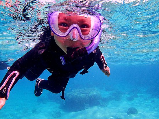 ⑧お魚たちと一緒に泳ごう！