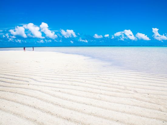 百合ヶ浜 上陸＆ウミガメシュノーケリング半日ツアー 3歳～参加可能　オプションでSUP体験あり ＜約2.5時間／大金久海岸発＞ by タンディーマリン