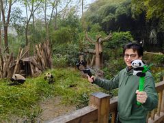 成都パンダ基地のボランティア