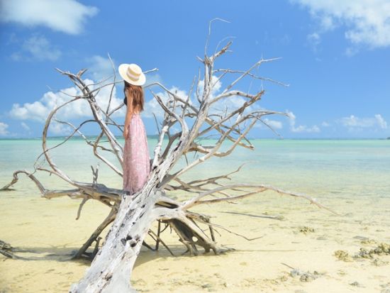 島内観光＋フォトツアー　女性カメラマンがご案内！観光しながら旅の思い出に記念撮影＜10～20枚／3時間／宮古島＞