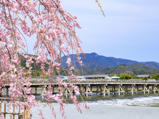 大阪発日帰りツアー 嵯峨野トロッコ列車＋保津川下り＋嵐山散策 1日ツアー＜大阪発／日本語・中国語＞