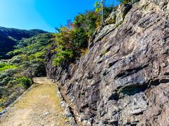 pixta_72016139_M