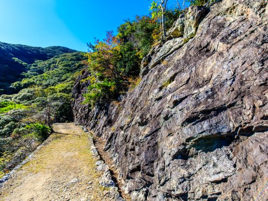 城山トレッキング＆浅茅湾シーカヤックツアー1日ツアー　＜3～11月＞ by 対馬エコツアー