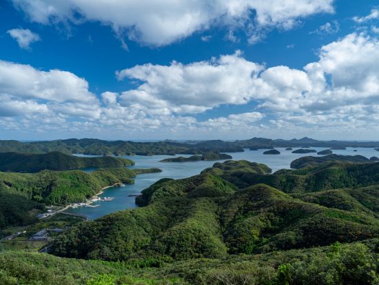 城山トレッキング＆浅茅湾シーカヤックツアー1日ツアー　＜3～11月＞ by 対馬エコツアー