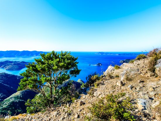 城山トレッキング＆浅茅湾シーカヤックツアー1日ツアー　＜3～11月＞ by 対馬エコツアー