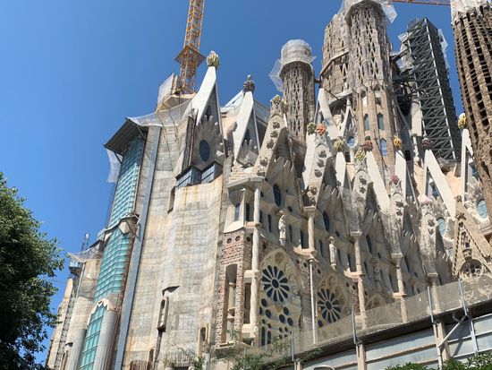 繧ｵ繧ｯ繝ｩ繝9 _6791