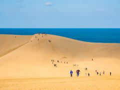 Japan_Tottori_Sand Dune_shutterstock_520946320