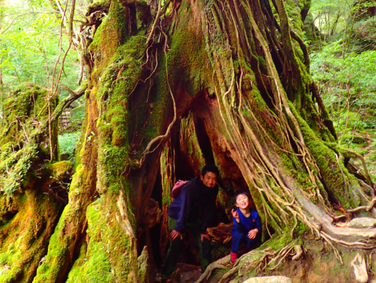 白谷雲水峡1日（太鼓岩往復）トレッキングツアー 屋久島の清流で沸かすコーヒーサービス付き by 屋久島ネイチャー企画フィールド