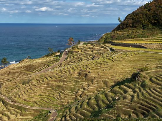 能登バスツアー検証(6)2