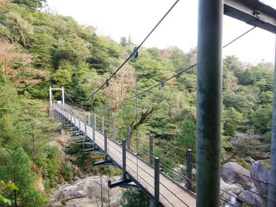【貸切】太忠岳トレッキングツアー ヤクスギランドを通って太忠岳の山頂を目指す！ by 屋久島ガイドツアー