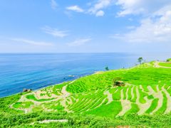 pixta_60694692_M
