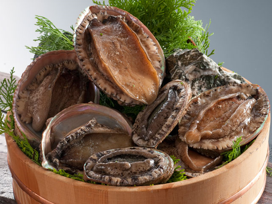 さとうみ庵　あわび