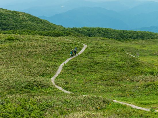 大長谷　21世紀の森散策＆温泉ツアー 地元食材のランチ付き＜午前／富山市＞