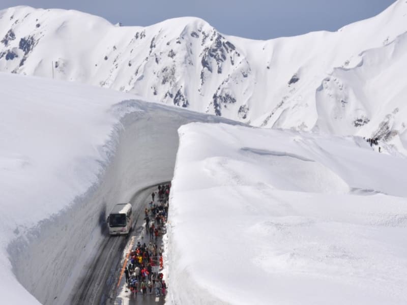 立山黒部アルペンルート 雪の大谷 日帰り観光バスツアー 立山を知りつくした登山ガイドがご案内 弥陀ヶ原雪原 室堂平 富山駅発着 富山の観光 遊び 体験 レジャー専門予約サイト Veltra ベルトラ