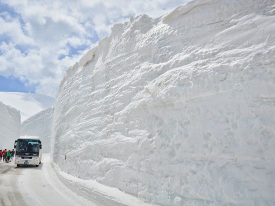 立山黒部アルペンルート 雪の大谷 日帰り観光バスツアー 立山を知りつくした登山ガイドがご案内 弥陀ヶ原雪原 室堂平 富山駅発着 富山の観光 遊び 体験 レジャー専門予約サイト Veltra ベルトラ 立山黒部アルペンルート 雪の大谷 日帰り観光バスツアー 立山を知りつくした登山ガイドがご案内 弥陀ヶ原雪原 室堂平 富山駅発着 富山の観光 遊び 体験 レジャー専門予約サイト Veltra ベルトラ