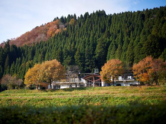 コムニタ＿春をみつける野草＿現場