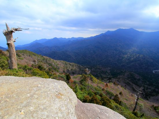 縄文杉＆白谷雲水峡（太鼓岩まで） 1泊2日キャンプツアー 自然の中で食べるご飯は格別！ガイドの手作り料理付き＜貸切、装備レンタル可能＞ by屋久島ガイド山好き