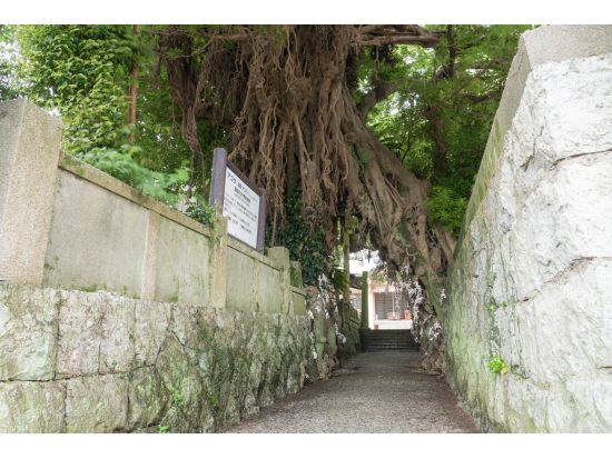 【運休中】長崎港⇔有川港 九州商船割引チケット 五島列島 上五島（新上五島町）へ スマホ提示でらくらく乗船！＜高速船＞