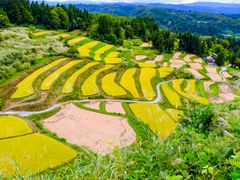 Japan_Niigata_外之沢の棚田_pixta_57790068_M