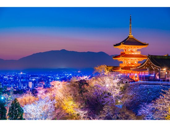 京のライトアップ夜桜 桜色に染まる知恩院 友禅苑と清水寺 22 3 26 4 3限定 18 00出発 3時間半 京都駅発 By 京都定期観光バス 京都の観光 遊び 体験 レジャー専門予約サイト Veltra ベルトラ 京のライトアップ夜桜 桜色に染まる知恩院 友禅苑と清水寺 22 3 26 4 3限定 18 00出発 3時間半 京都駅発 By 京都定期観光バス 京都の観光 遊び 体験 レジャー専門予約サイト Veltra ベルトラ