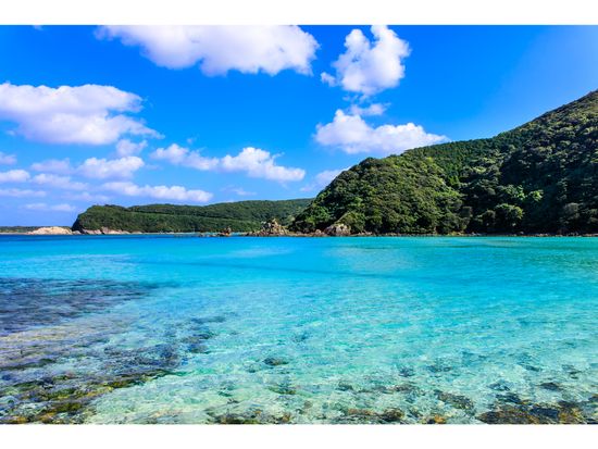 福江島レンタカー 良心的な格安料金 五島列島の観光をもっと便利に 小回りの利く小型車 福江港送迎無料 バラカー 五島列島の観光 遊び 体験 レジャー専門予約サイト Veltra ベルトラ 福江島レンタカー 良心的な格安料金 五島列島の観光をもっと便利に 小回りの利く小型車 福江港送迎無料 バラカー 五島列島の観光 遊び 体験 レジャー専門予約サイト Veltra ベルトラ