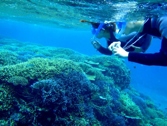 【小浜島発】幻の島＆ウミガメ大冒険！盛りだくさんツアー⭐︎無料『水中動画・マーメイド体験』