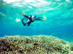 20150918083048_1670977095_11994_9