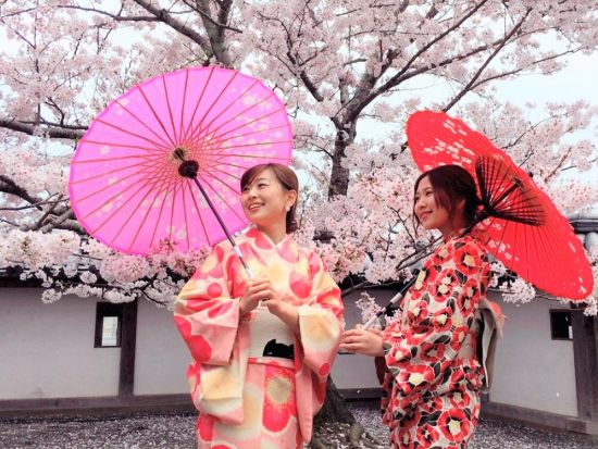 着物レンタル　松江の城下町を着物で散策！髪飾り＆バックなど貸出＋簡単ヘアアレンジ無料　袴プランもご用意＜松江市／当日予約OK＞