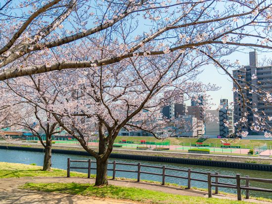 水陸両用バス スカイダック東京 バスのまま海川へスプラッシュ 水上走行で東京名所観光 スカイツリー コース お台場コース 銀座コース 東京の観光 遊び 体験 レジャー専門予約サイト Veltra ベルトラ 水陸両用バス スカイダック東京 バスのまま海川へスプラッシュ 水上走行で東京名所観光 スカイツリー コース お台場コース 銀座コース 東京の観光 遊び 体験 レジャー専門予約サイト Veltra ベルトラ
