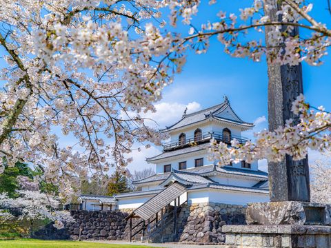 宮城旅行の観光 遊び 体験 レジャー予約サイト Veltra ベルトラ