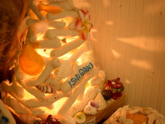 手作り体験　サンゴや貝殻などを使って、オリジナルのお土産を作成！＜石垣島＞by 石垣島手作り体験工房　琉球まぶやー