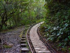 pixta_70576221_M