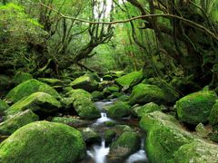 pixta_29860431_M (1)