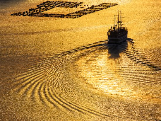 佐世保市内発着貸切観光タクシー　九十九島展望　1番人気の展望台「展海峰」へ！SSKバイパスと石岳展望台にもご案内＜2時間／1～9名＞ by ブルーキャブ